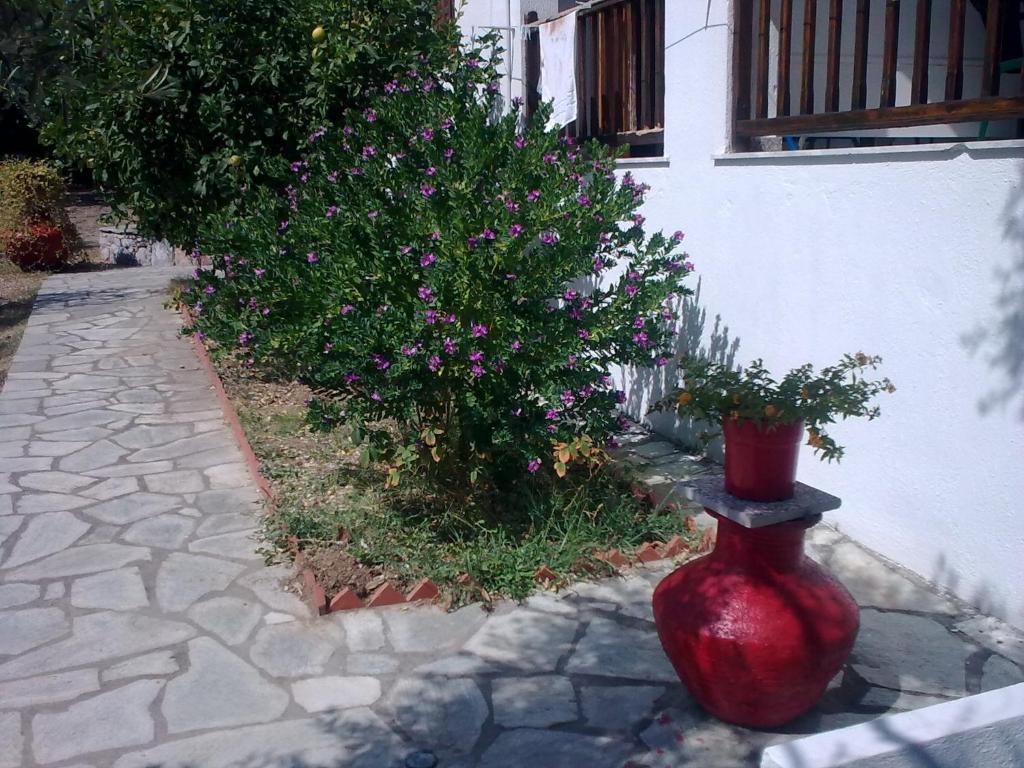 Liossis Rooms & Apartments Skopelos Town Exterior photo